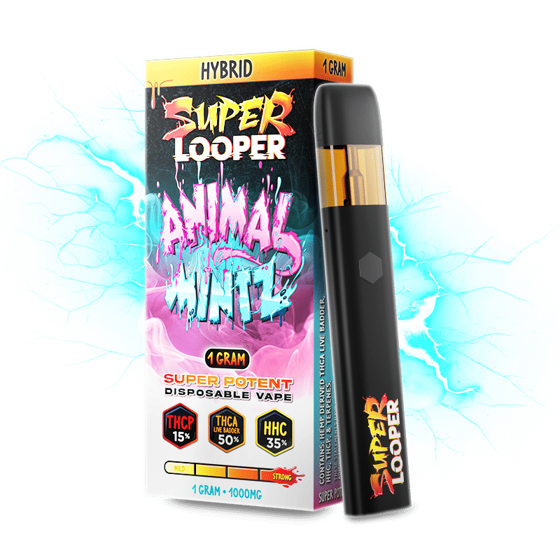 LOOPER - SUPER LOOPER (ANIMAL MINTZ) 800x800